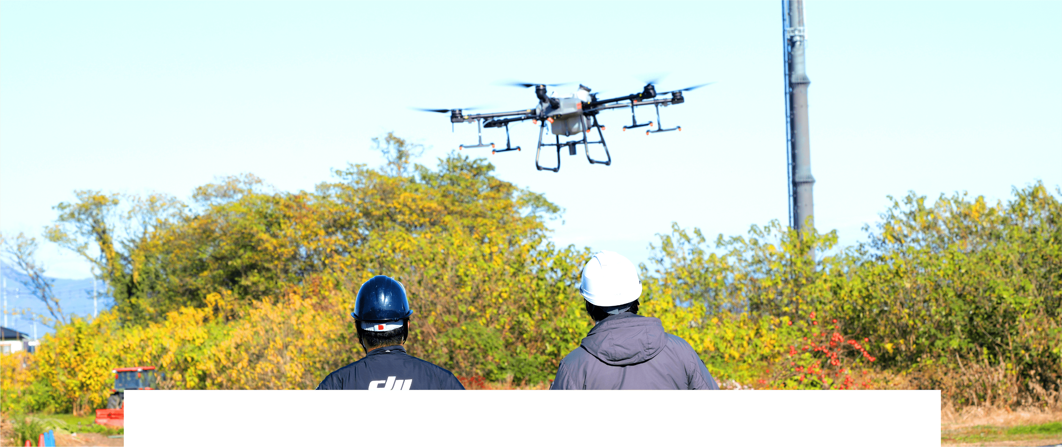 TEADイメージ画像